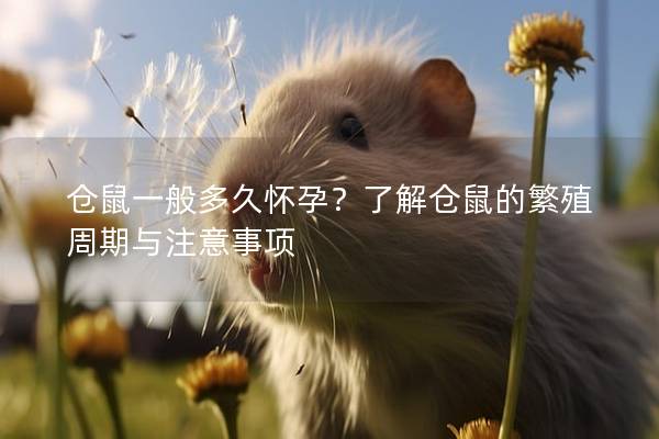 仓鼠一般多久怀孕？了解仓鼠的繁殖周期与注意事项