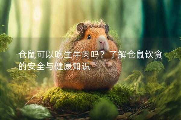 仓鼠可以吃生牛肉吗？了解仓鼠饮食的安全与健康知识