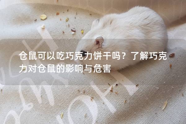 仓鼠可以吃巧克力饼干吗？了解巧克力对仓鼠的影响与危害