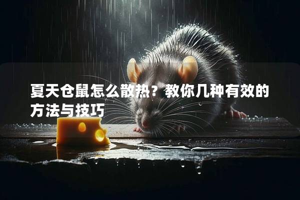 夏天仓鼠怎么散热？教你几种有效的方法与技巧