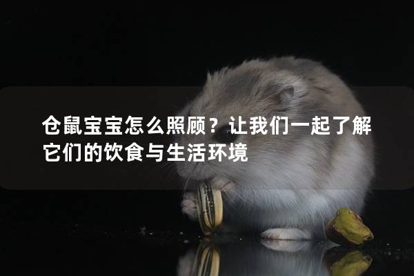 仓鼠宝宝怎么照顾？让我们一起了解它们的饮食与生活环境