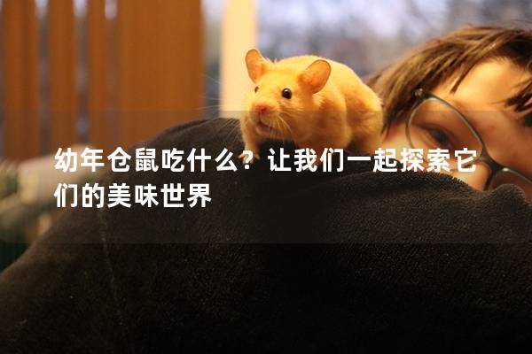 幼年仓鼠吃什么？让我们一起探索它们的美味世界