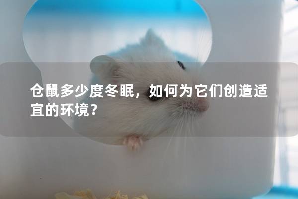 仓鼠多少度冬眠，如何为它们创造适宜的环境？