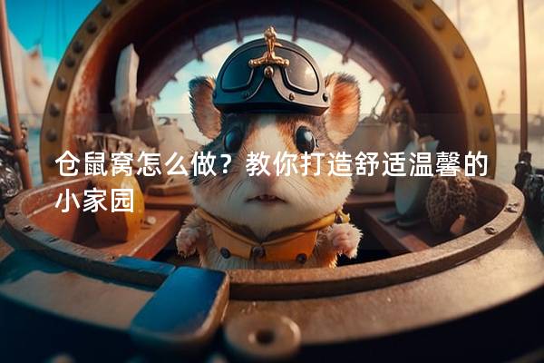 仓鼠窝怎么做？教你打造舒适温馨的小家园