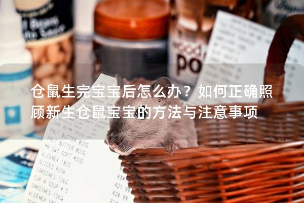 仓鼠生完宝宝后怎么办？如何正确照顾新生仓鼠宝宝的方法与注意事项