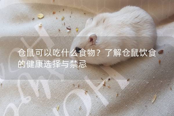 仓鼠可以吃什么食物？了解仓鼠饮食的健康选择与禁忌