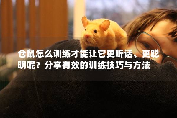 仓鼠怎么训练才能让它更听话、更聪明呢？分享有效的训练技巧与方法