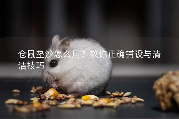 仓鼠垫沙怎么用？教你正确铺设与清洁技巧