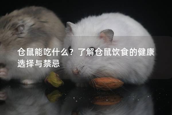 仓鼠能吃什么？了解仓鼠饮食的健康选择与禁忌