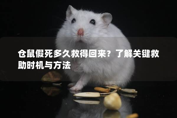 仓鼠假死多久救得回来？了解关键救助时机与方法