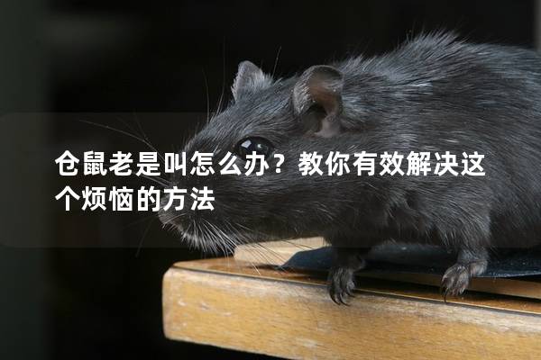 仓鼠老是叫怎么办？教你有效解决这个烦恼的方法