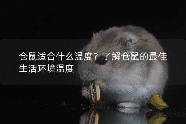 仓鼠适合什么温度？了解仓鼠的最佳生活环境温度