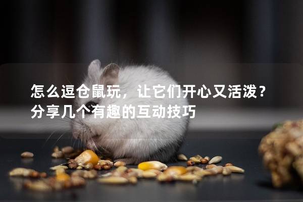 怎么逗仓鼠玩，让它们开心又活泼？分享几个有趣的互动技巧