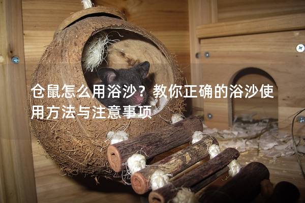 仓鼠怎么用浴沙？教你正确的浴沙使用方法与注意事项