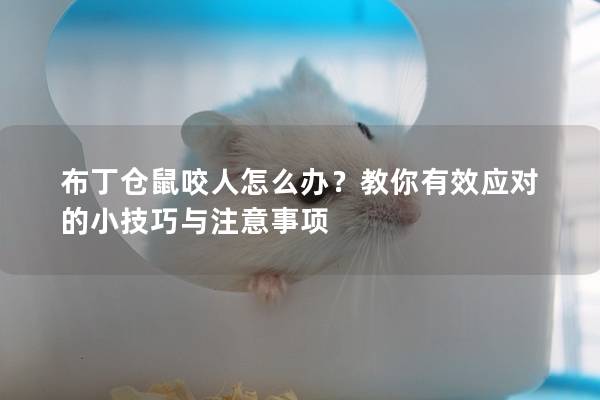 布丁仓鼠咬人怎么办？教你有效应对的小技巧与注意事项