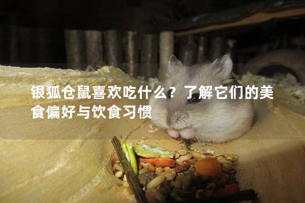 银狐仓鼠喜欢吃什么？了解它们的美食偏好与饮食习惯