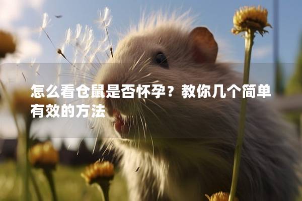 怎么看仓鼠是否怀孕？教你几个简单有效的方法