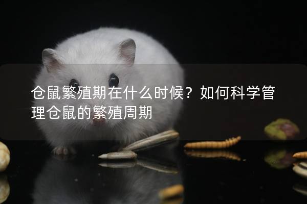 仓鼠繁殖期在什么时候？如何科学管理仓鼠的繁殖周期