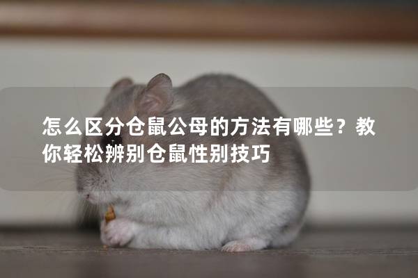 怎么区分仓鼠公母的方法有哪些？教你轻松辨别仓鼠性别技巧