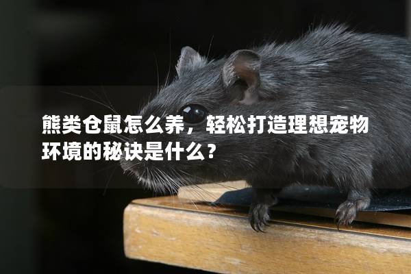 熊类仓鼠怎么养，轻松打造理想宠物环境的秘诀是什么？