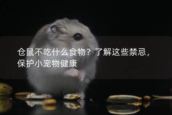 仓鼠不吃什么食物？了解这些禁忌，保护小宠物健康