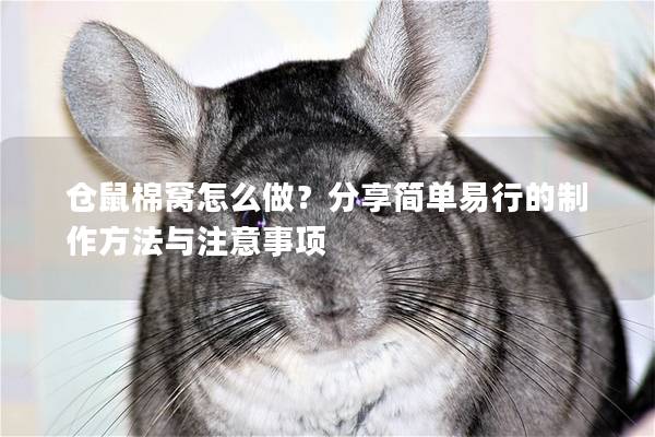 仓鼠棉窝怎么做？分享简单易行的制作方法与注意事项