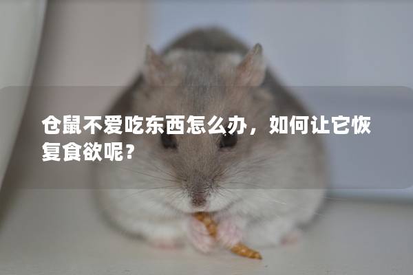 仓鼠不爱吃东西怎么办，如何让它恢复食欲呢？