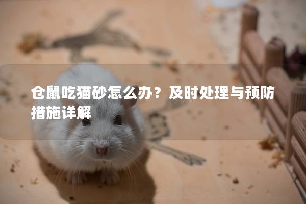 仓鼠吃猫砂怎么办？及时处理与预防措施详解