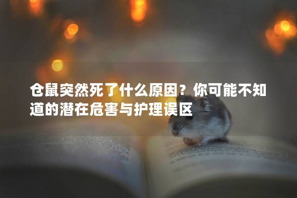 仓鼠突然死了什么原因？你可能不知道的潜在危害与护理误区