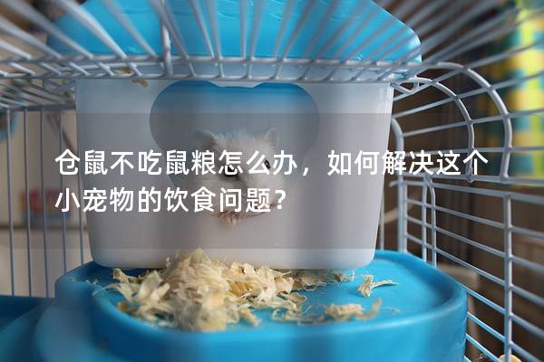 仓鼠不吃鼠粮怎么办，如何解决这个小宠物的饮食问题？