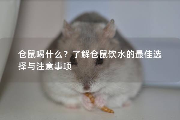 仓鼠喝什么？了解仓鼠饮水的最佳选择与注意事项