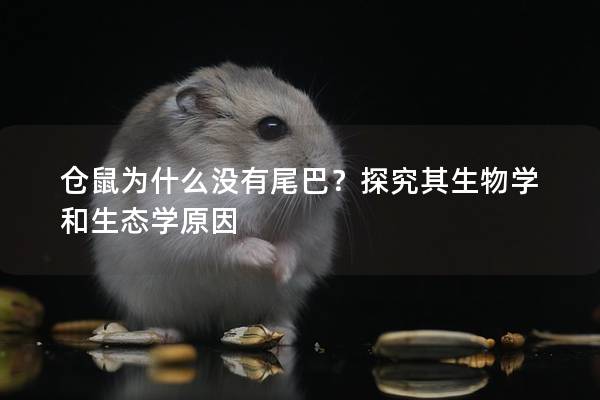 仓鼠为什么没有尾巴？探究其生物学和生态学原因