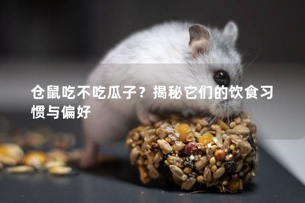 仓鼠吃不吃瓜子？揭秘它们的饮食习惯与偏好